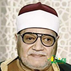 محافظ كفرالشيخ بجمهوريه مصر العربية يشهد فعاليات البرنامج الصيفى التثقيفى للطفل بمسجد الفتح بعاصمة المحافظة