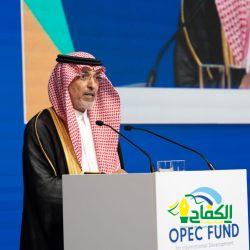 بمشاركة سعودية فعالة وتحدث الرئيس الفخري للمؤتمر المستشار أحمد محمد باديب : القاهرة تحتضمن ملتقى الدبلوماسية الثقافية