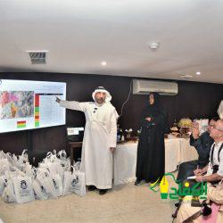 الحوثيين يستهدفون المدمرة البريطانية “دايموند” في البحر الأحمر بصواريخ باليستية