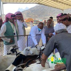 كلام للى يفهموه