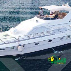 فنان سعودي يدخل تاريخ الفن من أوسع الأبواب ويصنع مجد عالمي لاسمه ولفنه السلامة أول فنان عربي وعالمي محترف يرسم بريشته ١٥٠٠ عمل فني