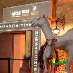 وزارة الطيران تنفي سقوط طائرة مصرية ومصرع جميع ركابها