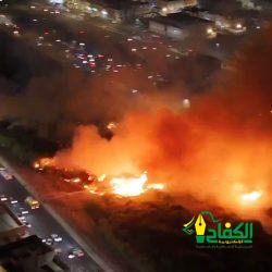 الطواقم الطبية الفلسطينية تنتشل 60 شهيداً من جنوب مدينة غزة الطواقم الطبية الفلسطينية تنتشل 60 شهيداً من جنوب مدينة غزة