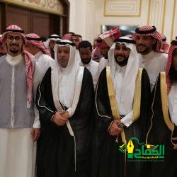 كلام للى يفهموه كلام للى يفهموه