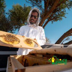 تنظمه هيئة الأدب والنشر والترجمة لمدة 7 أيام.. ويتضمن برنامجًا ثقافيًّا حافلًا معرض المدينة المنورة للكتاب ينطلق اليوم بمشاركة عربية ودولية واسعة