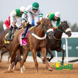 الاعلان عن المؤتمر الدولى لسفراء السلام والتسامح والتنمية المستدامة 2024 ” بدبي” الاعلان عن المؤتمر الدولى لسفراء السلام والتسامح والتنمية المستدامة 2024 ” بدبي”