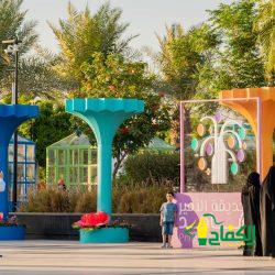 عفاف راضي لأول مرة في جرش تغني “قد عشقتُ القدس” وتقدم اجمل أغانيها