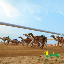 الشمري: انتظروا مالكات الهجن في المرحلة النهائية