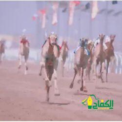 الأمن المغربي ينقذ 68 مهاجرًا غير شرعي