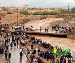 صدى الكلمات.. لا تتمنى حياة أحد