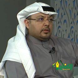 العالم لعبة شطرنج