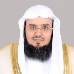 وادي الدواسر تحتفي باليوم الوطني