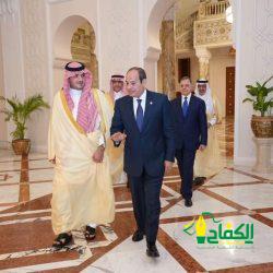 سقوط شجرة على سيارة في مكة