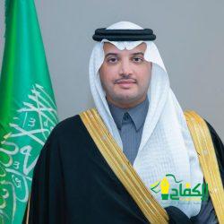 جمعية الصحفيين الإماراتية تعلن دعمها الكامل لحملة مكافحة الذباب الإلكتروني