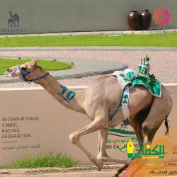 المسرح العراقي يشارك في مهرجان القاهرة الدولي للمسرح التجريبي بدورته ٣١