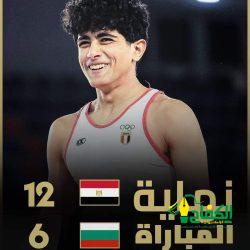 السيسي – في تركيا