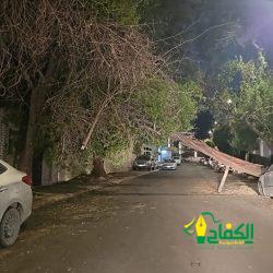  مدارسنا وتأصيل ثقافة القِيَم