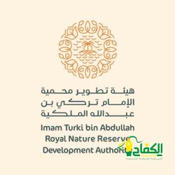 النيابة العامة: السجن عامين وغرامة 500 ألف عقوبة الغش في المنتجات