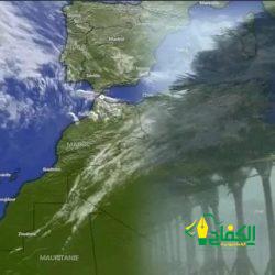 النصب السيبراني يقود اصحاب مجموعة على الواتساب للعدالة