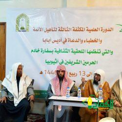 الصحة النفسية في البيئة الوظيفية