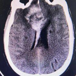 إلى جنة الخلد أبا خلف