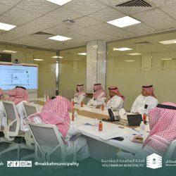 الشيبي يفتتح المعرض التشكيلي “كيف خلقت “