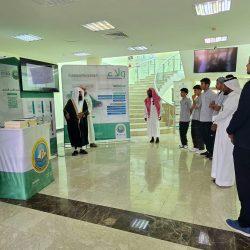 القائد المتخيل