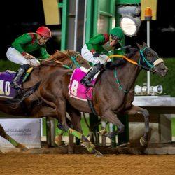 مواطنو اوزباكستان يدلون بأصواتهم في الانتخابات البرلمانية في مقر سفارتهم في الرياض ومنطقة مكة المكرمة