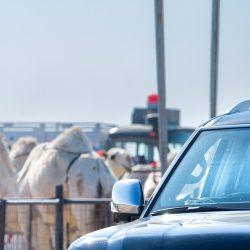 المخرج عبد العزيز سرحان يفوز بجائزة أفضل مخرج سينمائي عن فيلمه “العود المكسور” في نيويورك