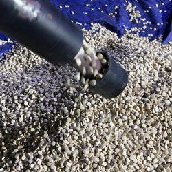 “قراءة النص” يكرم القشعمي في دورته الـ(21)