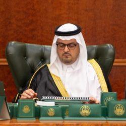 هيئة مكة تشارك في حملة التشجير بالقنفذة