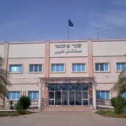 أمانة محافظة جدة تعزز التواصل بين القيادات والموظفين في اليوم العالمي لإدارة المشاريع