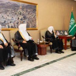 المجاهد يؤلف كتابا عن حارتي شعب علي وسوق الليل