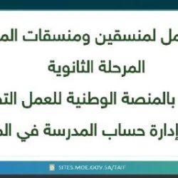 الريّس : مزايا نسبية لمنطقة الجوف ستجعل لدينا مهرجان دولي للعسل