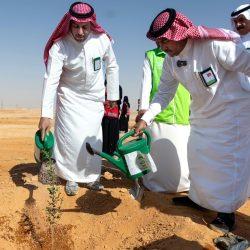 الفنان حسن إسكندراني والفنان المنتج زياد محمود يكرمان المخرج قاضي والممثل سليماني