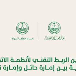 المرور السعودي: الانحراف المفاجئ يتصدّر مسببات الحوادث المرورية في منطقة الحدود الشمالية