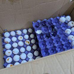 تعليم الطائف يوضح : طالب وطالبة يتأهلون على مستوى المملكة في مسابقة الفهم القرائي وتطلق برنامج التميز المدرسي