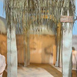 الفرق الطبية تواصل التطعيم ضد الحصبة في النعيرية