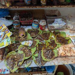 رئاسة الشؤون الدينية بالحرمين الشريفين توضح الجدول الأسبوعي لأئمة المسجد الحرام والمسجد النبوي من يوم غد الأحد ليوم السبت