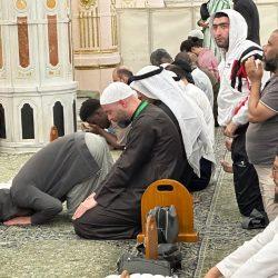 هاتف التنظيم يحتاج إلى تنظيم 