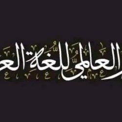 مباريات اليوم الرابع التي تقام يوم  غدا الأربعاء 25 ديسمبر 2024: آراء مدربي المنتخبات الاربعة في منافسات المجموعة الثانية لخليجي 26 العراق ضد البحرين مدرب اليمن :”احذر من الوحش الجريح”