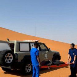 أمانة العاصمة المقدسة تباشر 557 بلاغًا لمكافحة البعوض الناقل لحمى الضنك