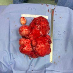 تعليم الطائف يطلق مبادرة السلامة المرورية في المدارس