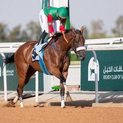 تهدف إلى بذل الجهود للمساهمة في تحقيق المستهدفات التنموية والخيرية مؤسستا الهلال وغروس الخيريتان توقعان اتفاقية شراكة تعزيزاً لإسهامات القطاع غير الربحي في خدمة المجتمع.