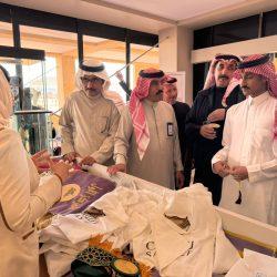 ازرع شجرة فى بيلا بكفر الشيخ