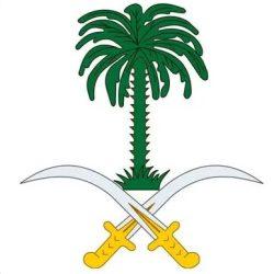 سمو ولي العهد يهنئ الرئيس أحمد الشرع بمناسبة توليه رئاسة الجمهورية العربية السورية في المرحلة الانتقالية