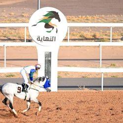 مدربا عُمان والبحرين يتطلعان لتحقيق المجد في نهائي خليجي 26