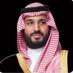 خادم الحرمين الشريفين يُعزي الرئيس التركي في ضحايا الحريق الذي اندلع في منتجع بولاية بولو