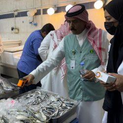 تعليم الطائف “يدعو للتسجيل في مسابقة “كانجارو”