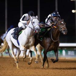 الديوان الملكي: وفاة والدة صاحبة السمو الملكي الأميرة فهده بنت فهد بن خالد بن ناصر بن عبدالعزيز آل سعود